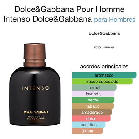 dolce gabbana parfum homme intenso prix